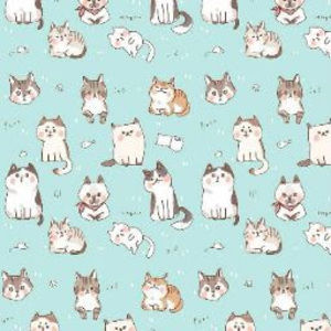 Meet your Posher, Yislaidy